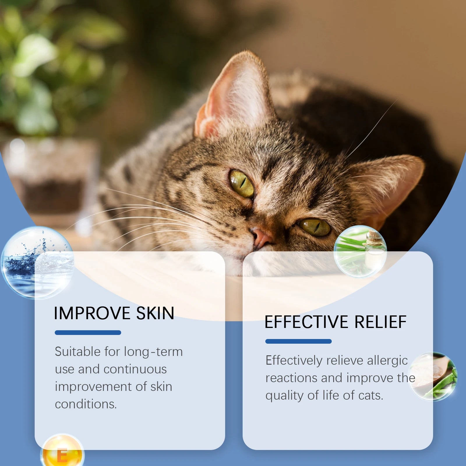 Yegbong Cat Skin Care Spray