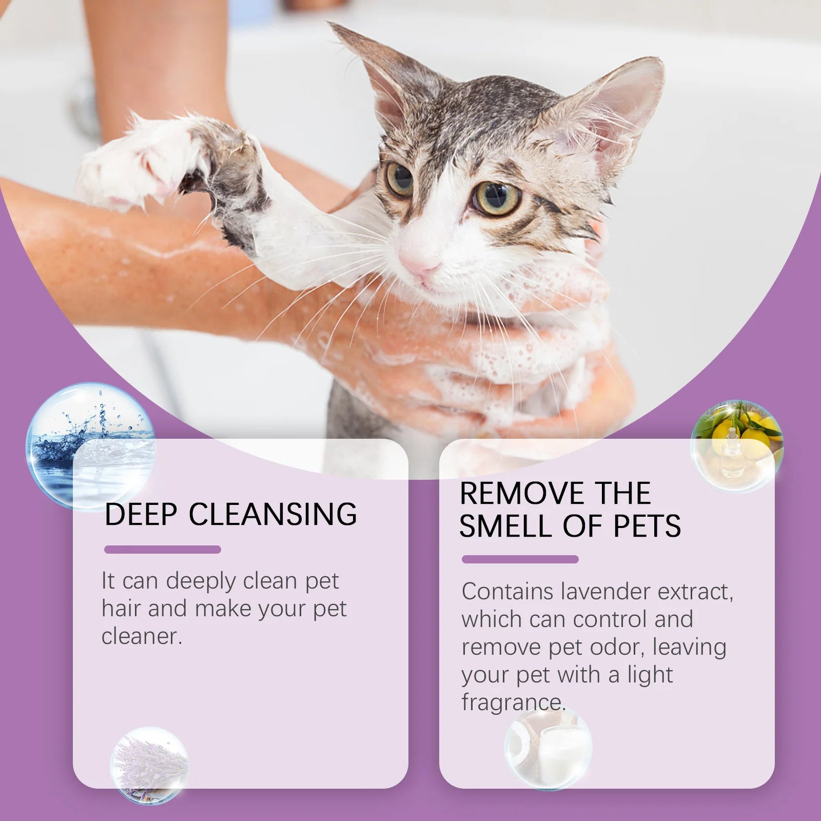 Yegbong Pet Lavender Hair Shampoo