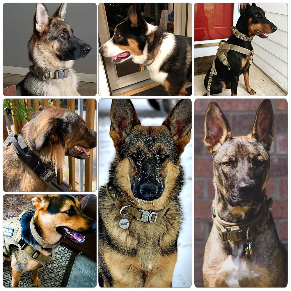 Dog Training Adjustable Dog Collar
