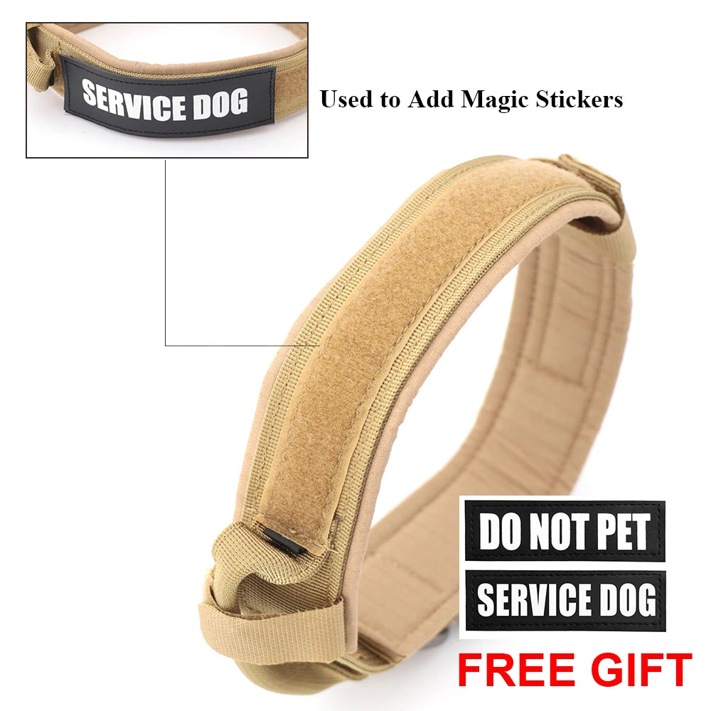 Dog Training Adjustable Dog Collar