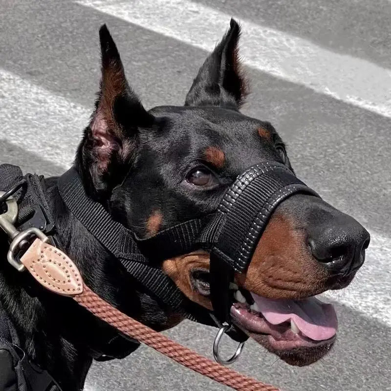 Dog Muzzle Anti-Bite & Barking
