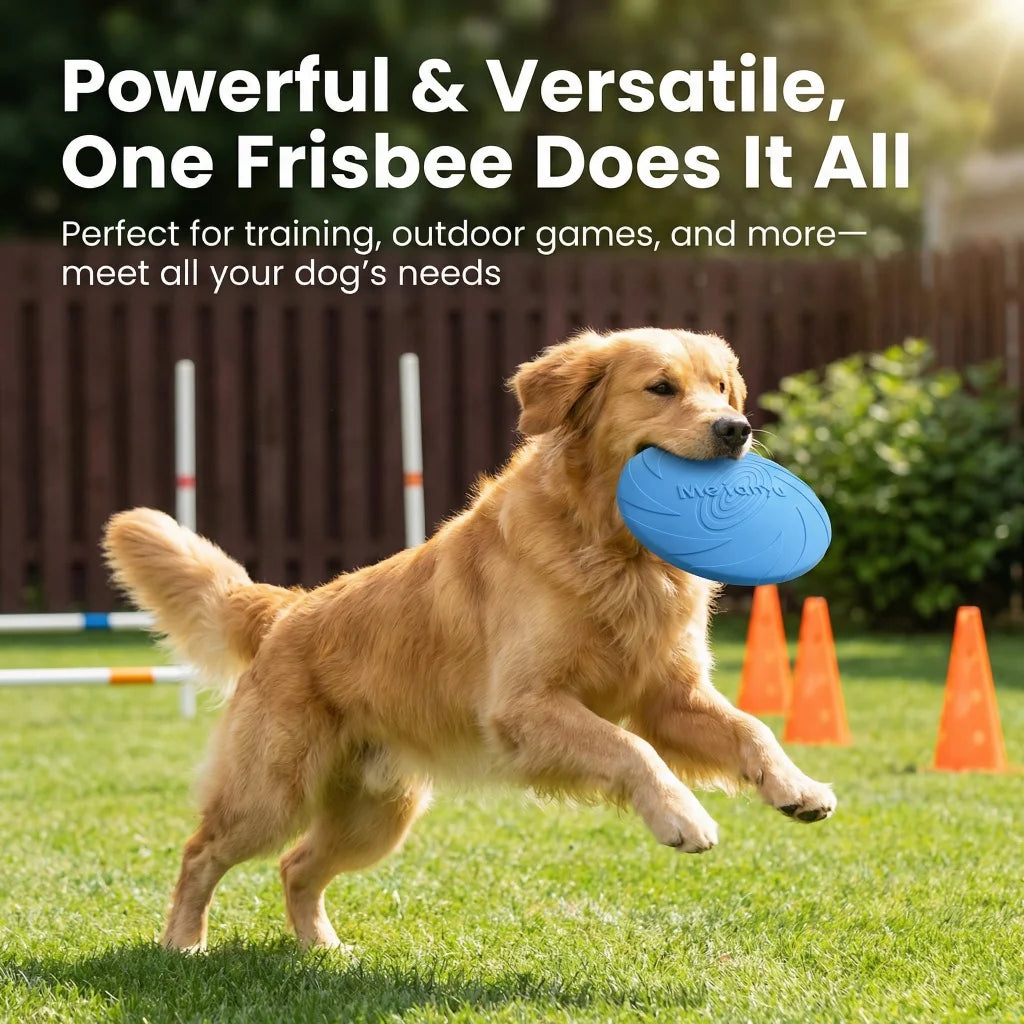 6PCS Interactive Dog Flying Disc Toys