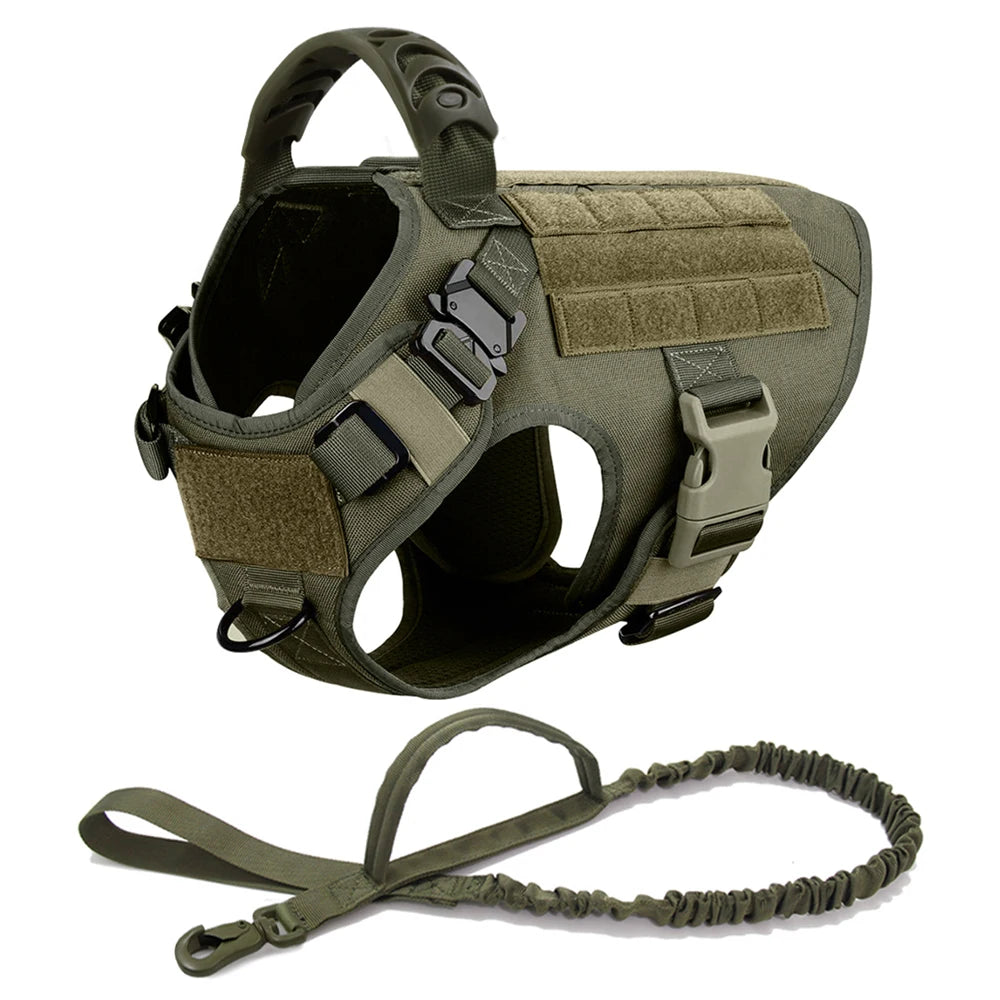 Large Dog Harness Leash Set
