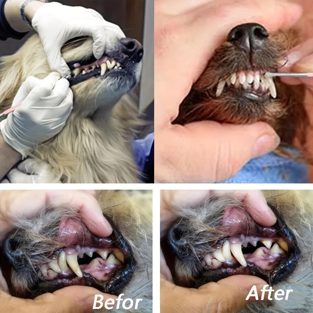 1pc Pet Dog Tooth Cleaner Stainless Steel Tartar Removers