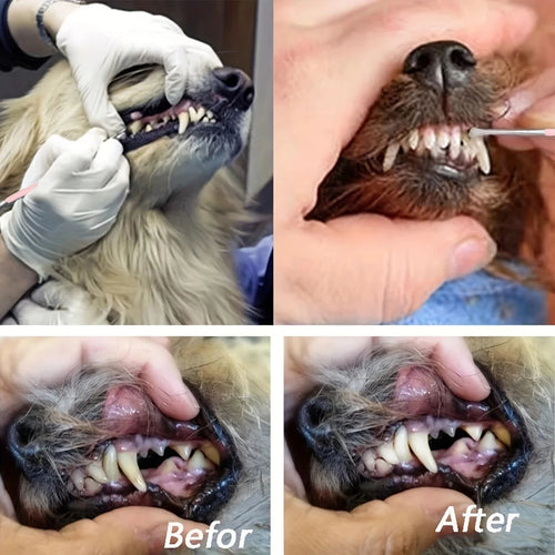 1pc Pet Dog Tooth Cleaner Stainless Steel Tartar Removers