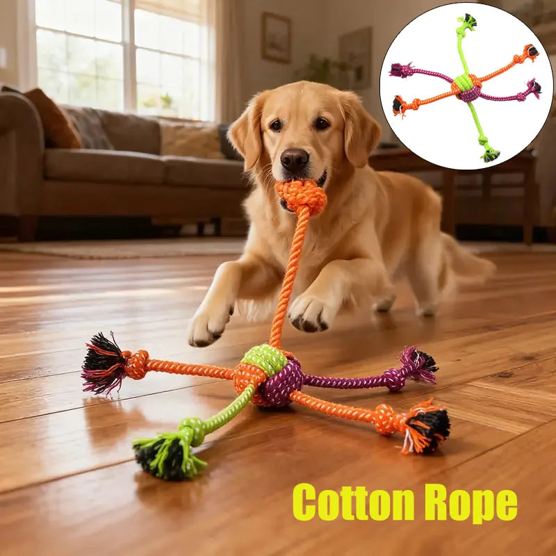 Pet Interactive Chewing Dog Toy