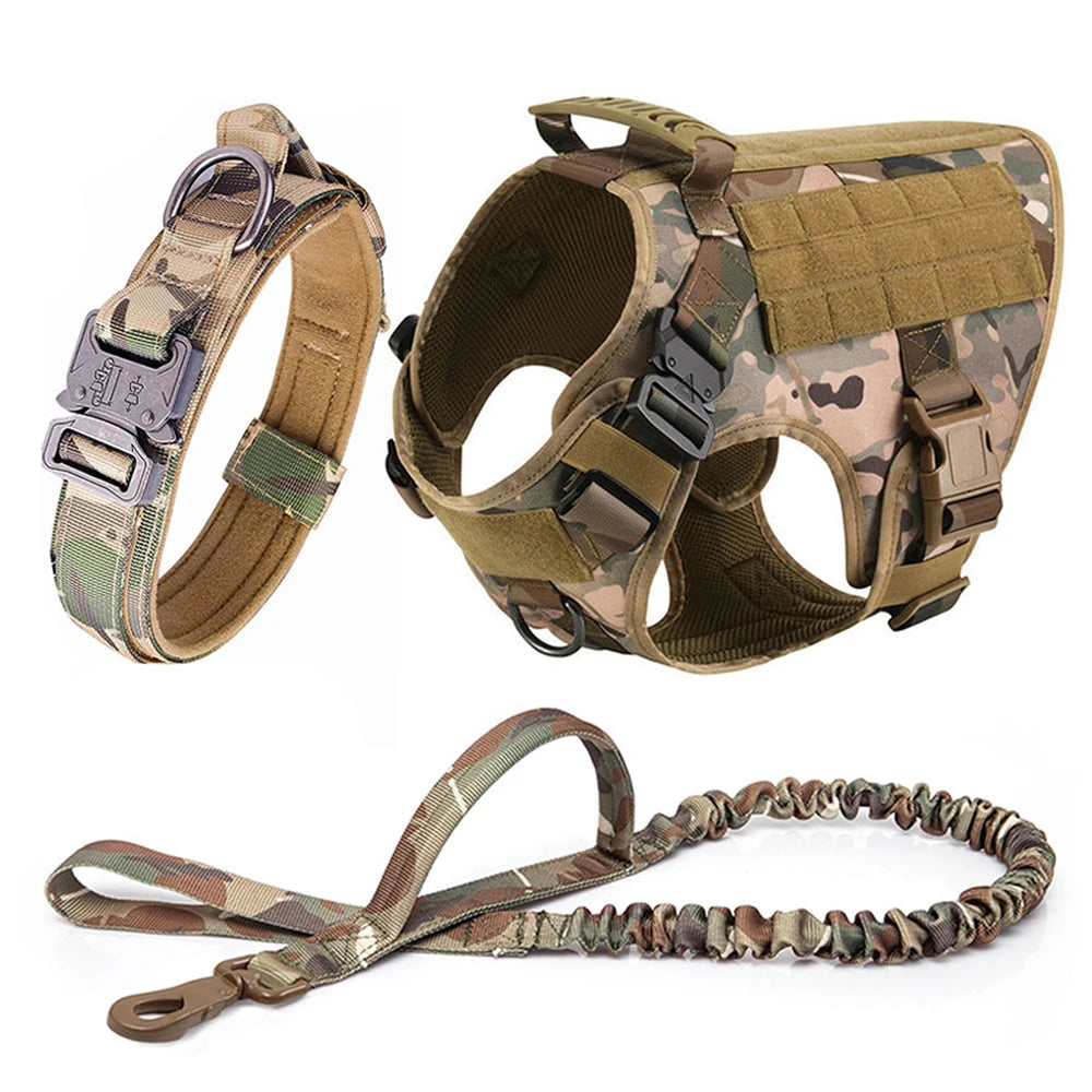 Large Dog Harness Leash Set