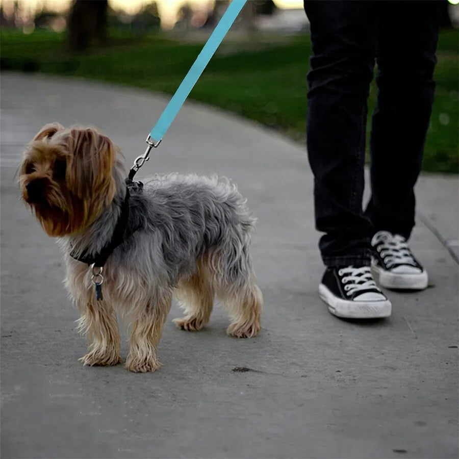 1pc Pet Car Belt, Dog Cat Car Leash
