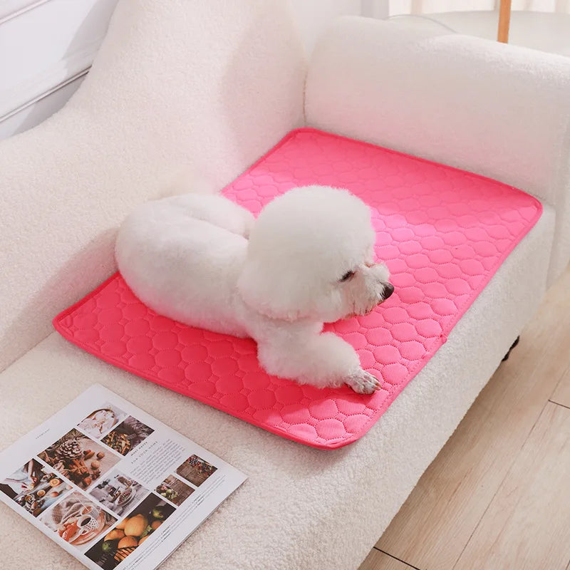 Dog Pee Pad Washable Puppy Training Pad