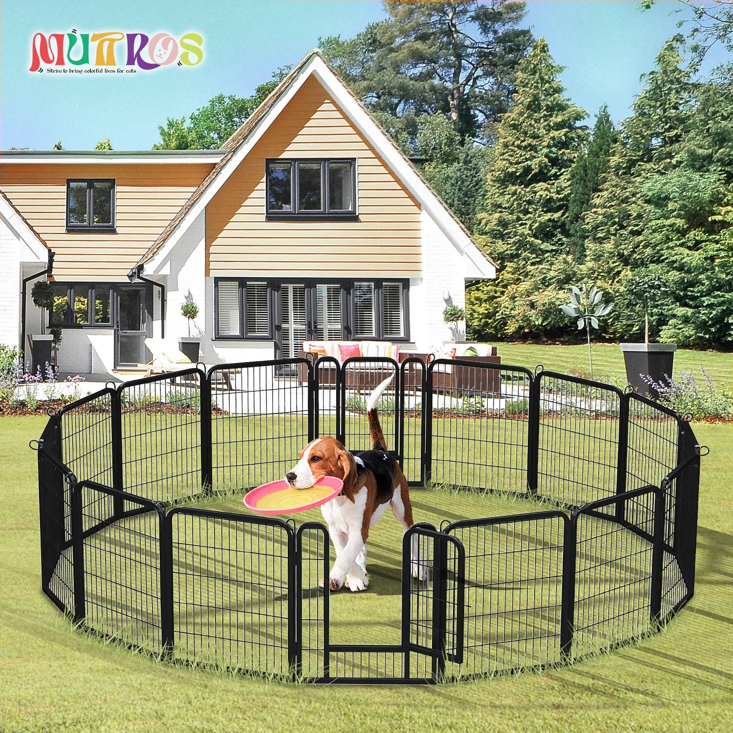Dog Playpen with Door