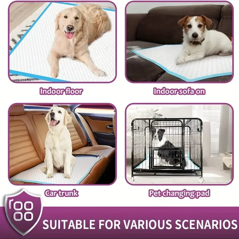 XXL Dog Pee  Disposable Dog Training Pads