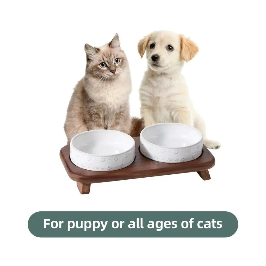 6.1inch Raised Double Cat Bowls Set