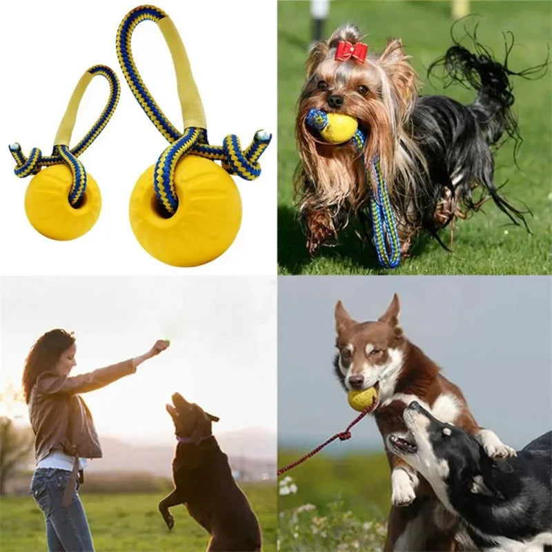 Toy Dog Toys For Small Medium Large Dog Interactive