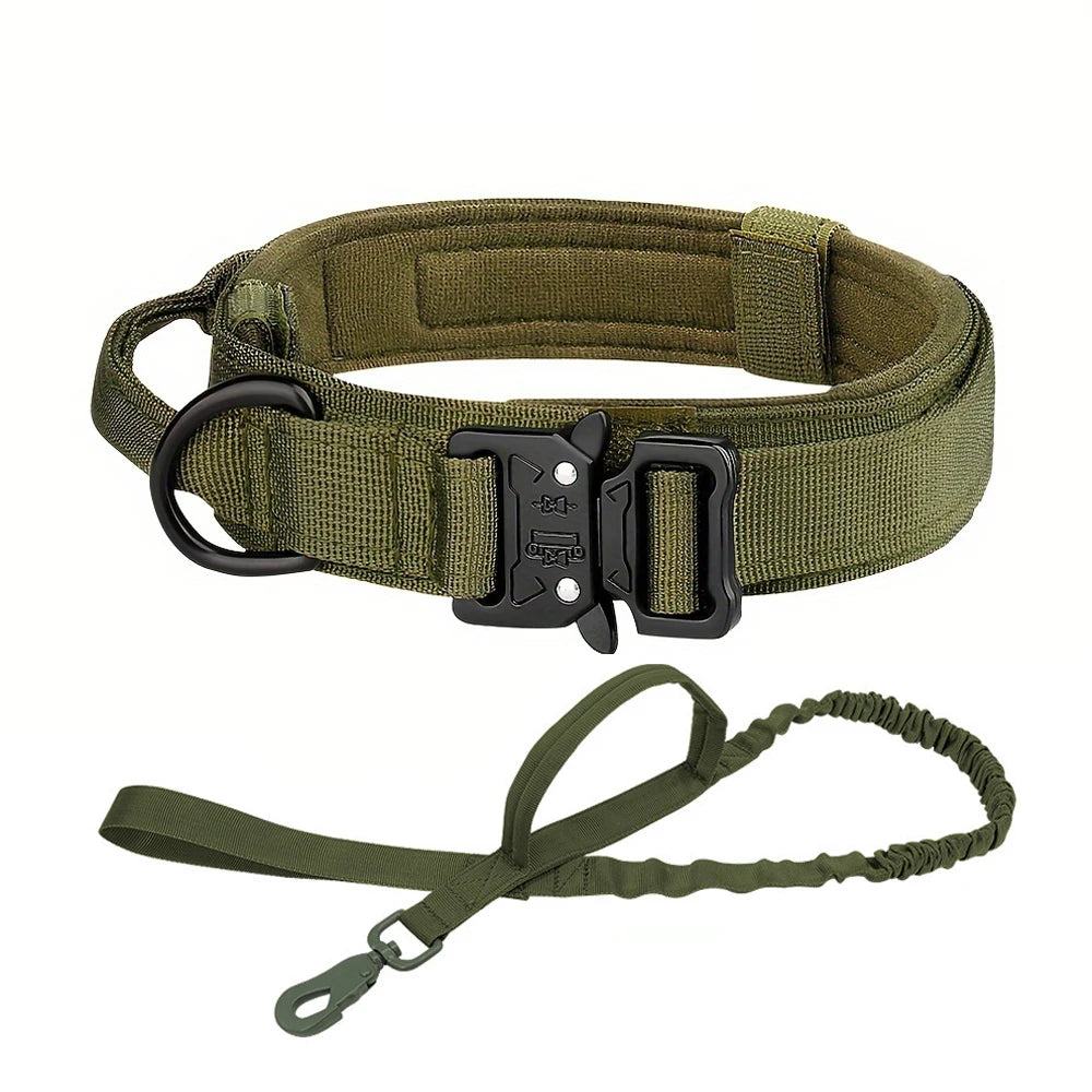 Dog Training Adjustable Dog Collar