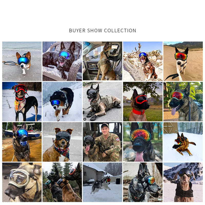 Dog Goggles Anti-UV Sun Glasses Eyewear Protection