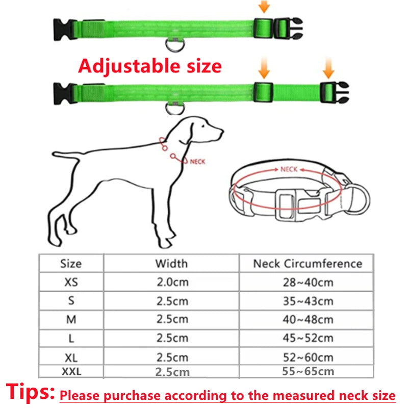USB Rechargeable Luminous Collar for Large Small Dogs