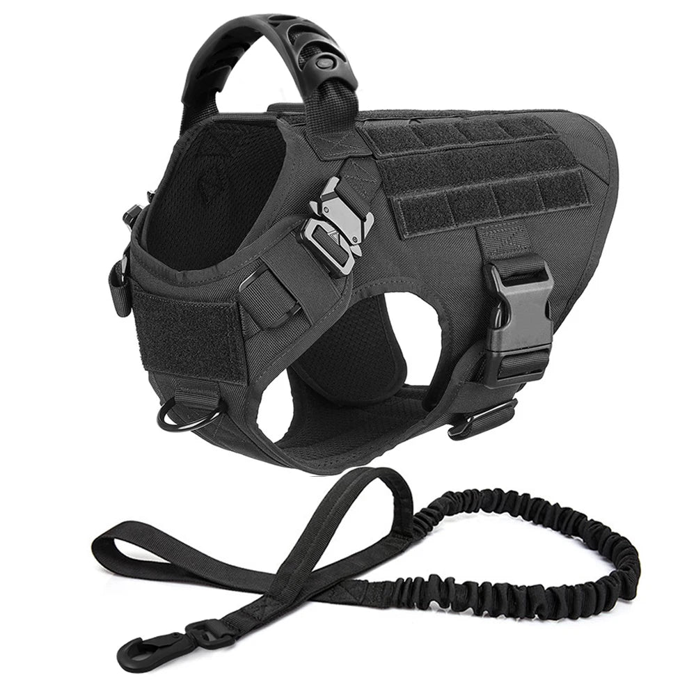 Large Dog Harness Leash Set