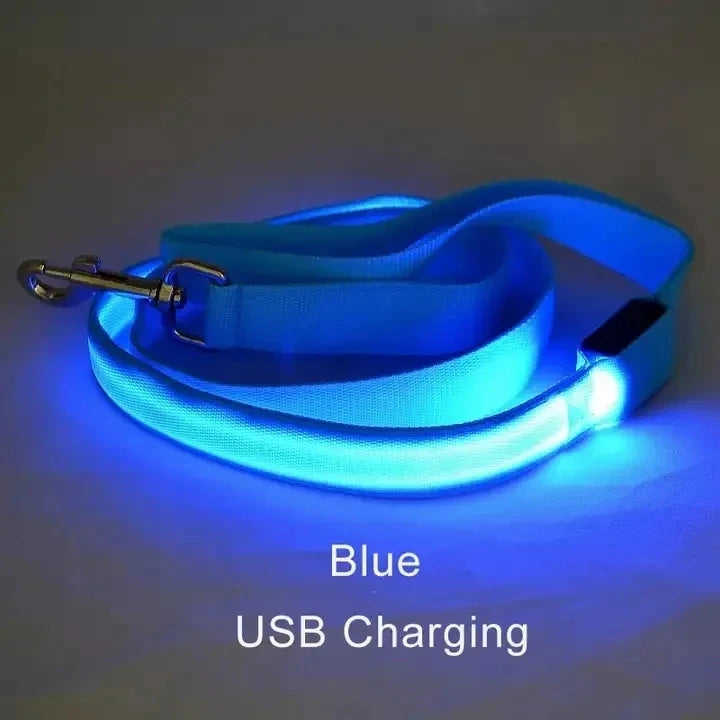 Led Pet Dog Leash Rope With Light Luminous