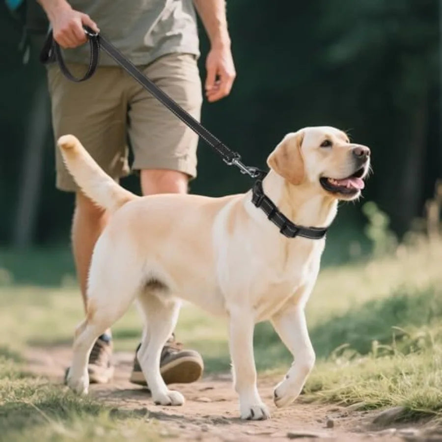 Reflective Dog Collar, Soft Neoprene Padded