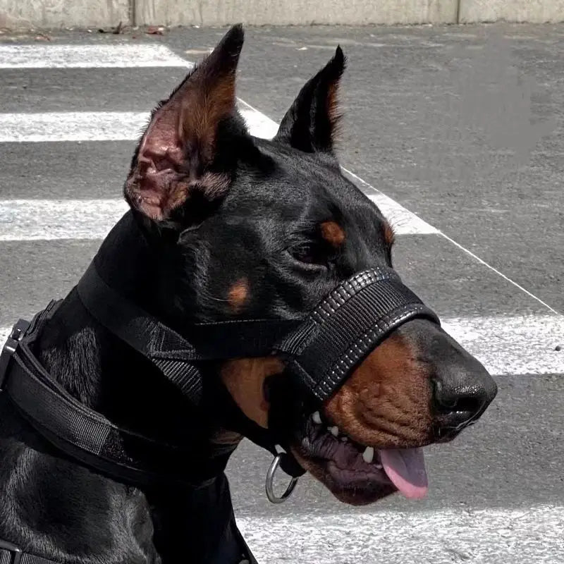 Dog Muzzle Anti-Bite & Barking