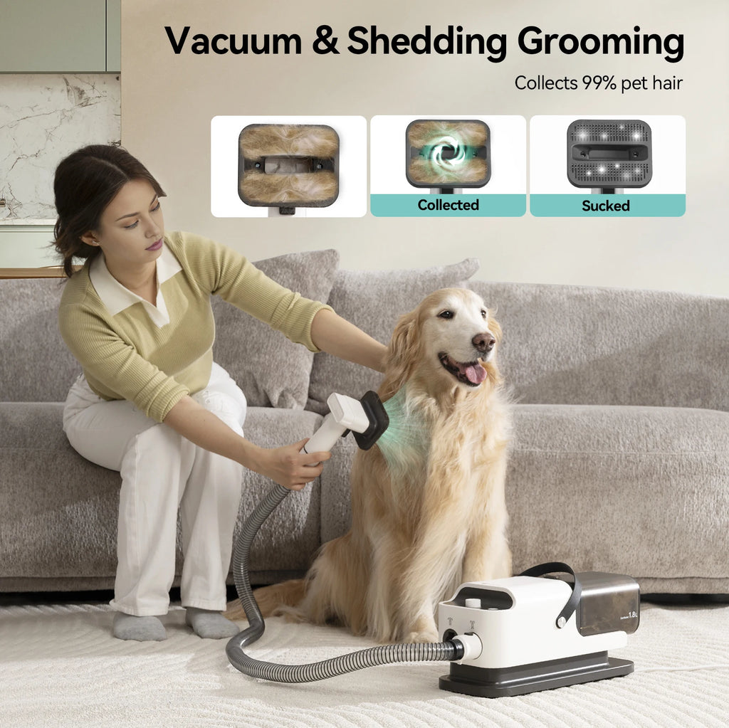 Amicura P1 Vacuum Cleaner & Hair Dryer