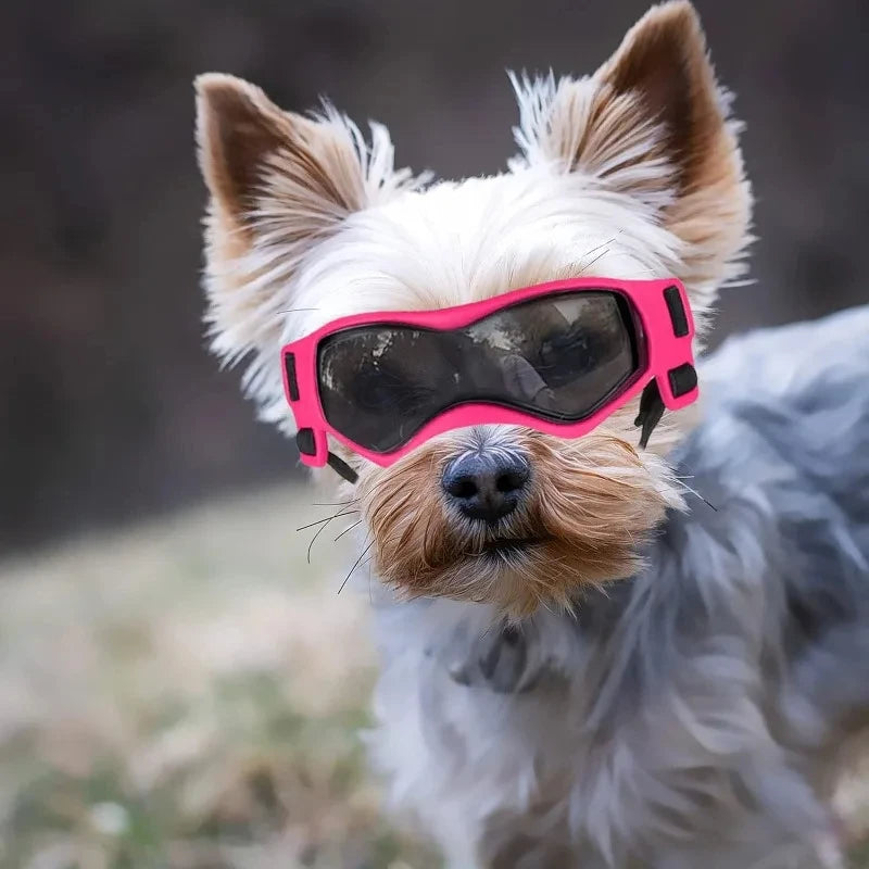 UV Protective Goggles for Dogs Cat Sunglasses