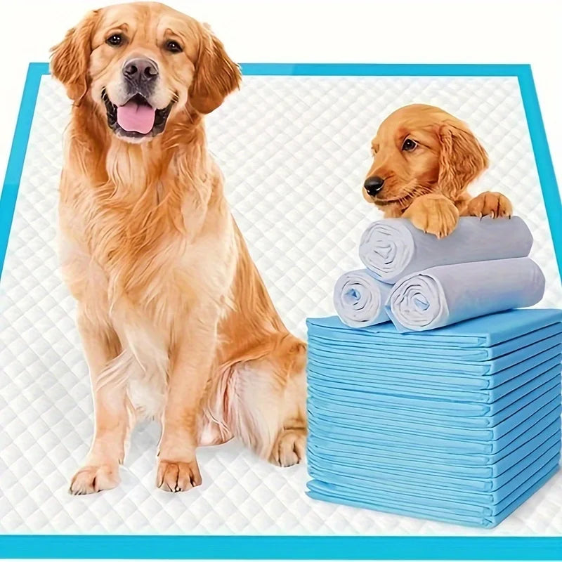 XXL Dog Pee  Disposable Dog Training Pads