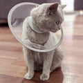 Pet Cat Protective Collar Neck Recovery Cone Collar