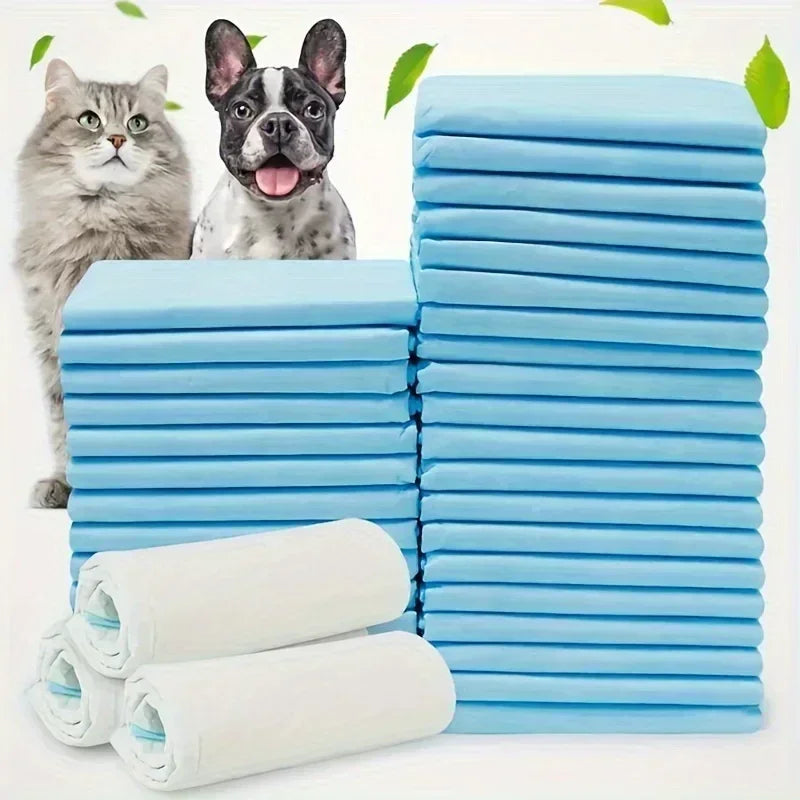 Disposable Dog Diapers & Training Pads