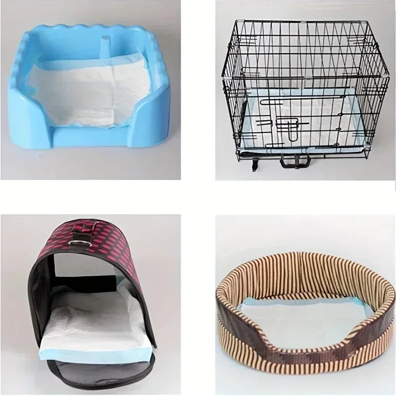 Disposable Dog Diapers & Training Pads