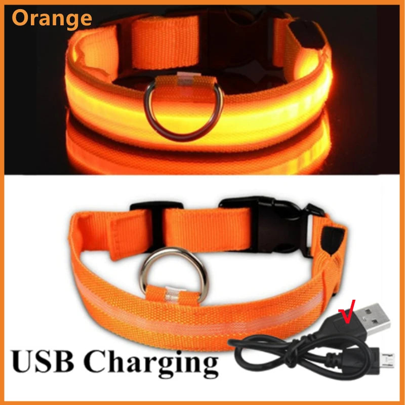 USB Rechargeable Luminous Collar for Large Small Dogs