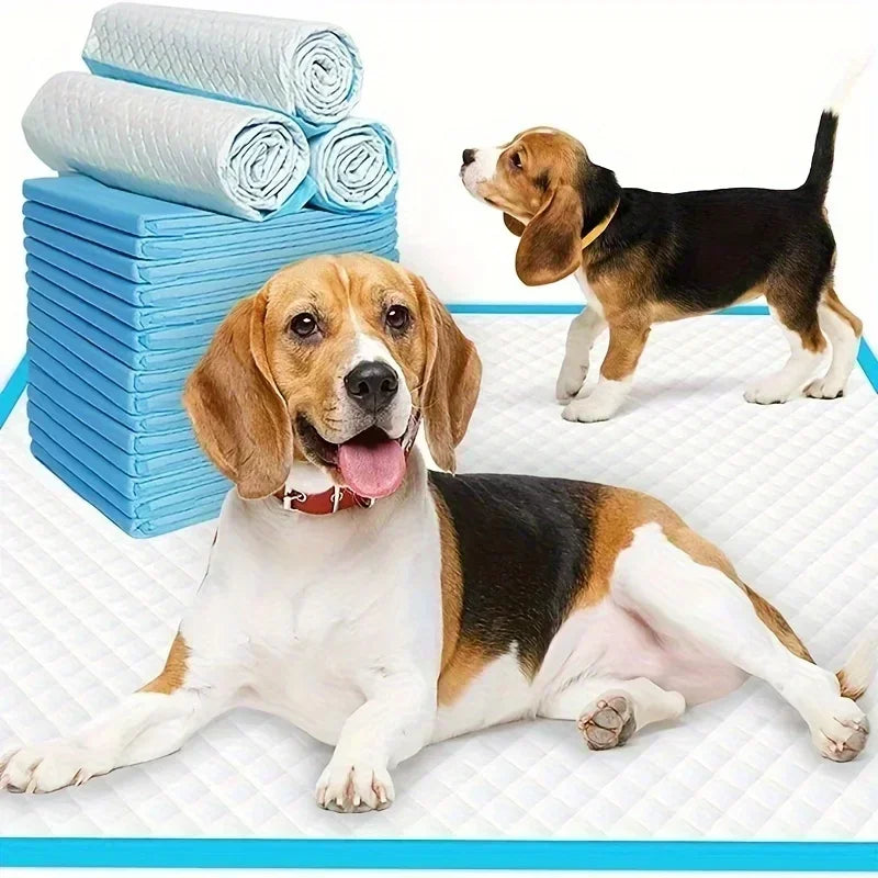 Disposable Dog Diapers & Training Pads