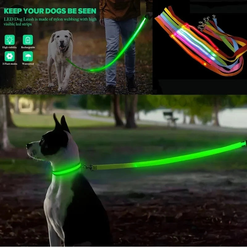 Led Pet Dog Leash Rope With Light Luminous