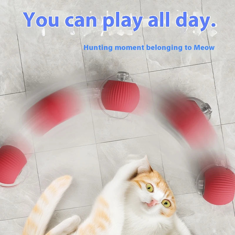 Automatic Rolling Ball For Cat