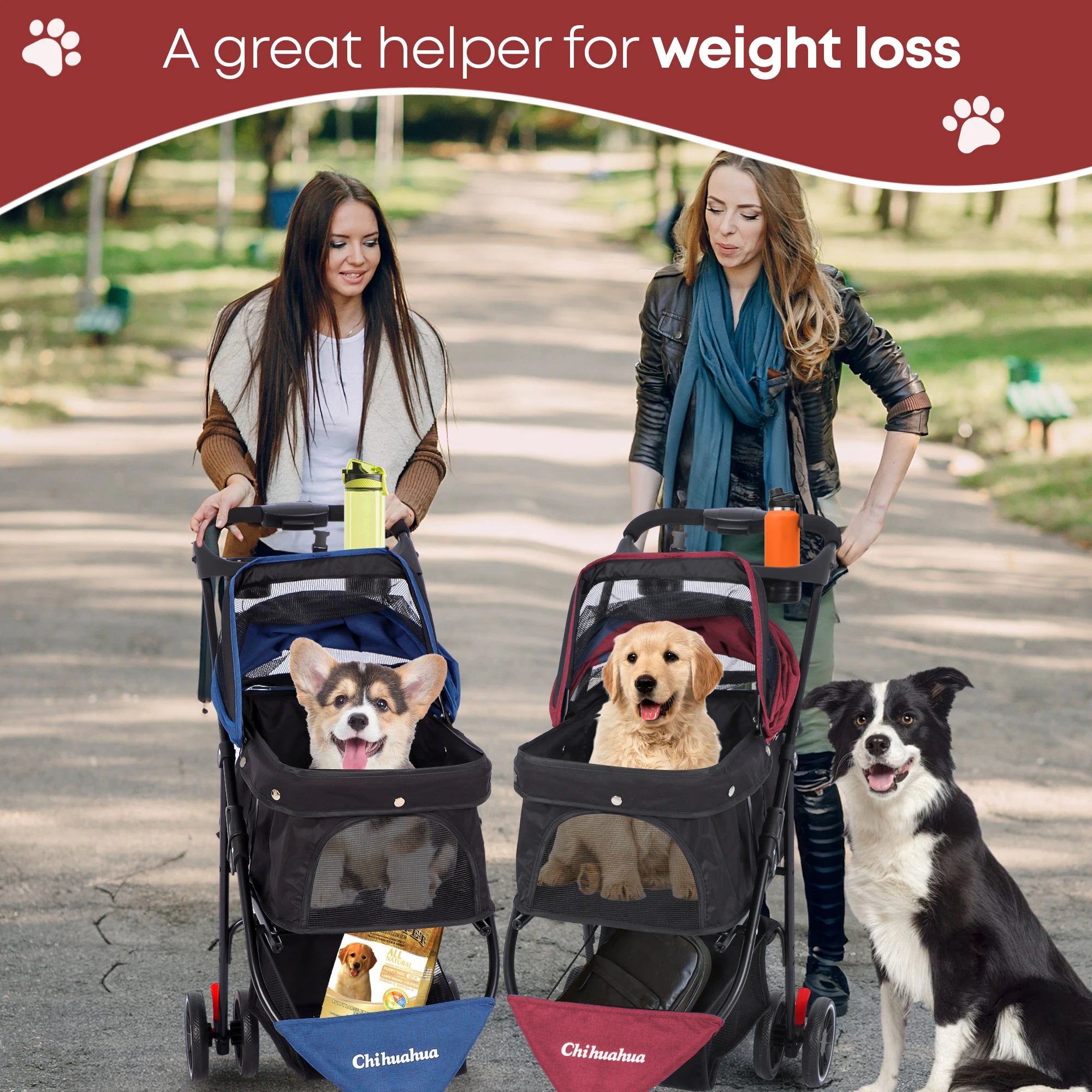 Pet Stroller For Small Medium Cats Dogs