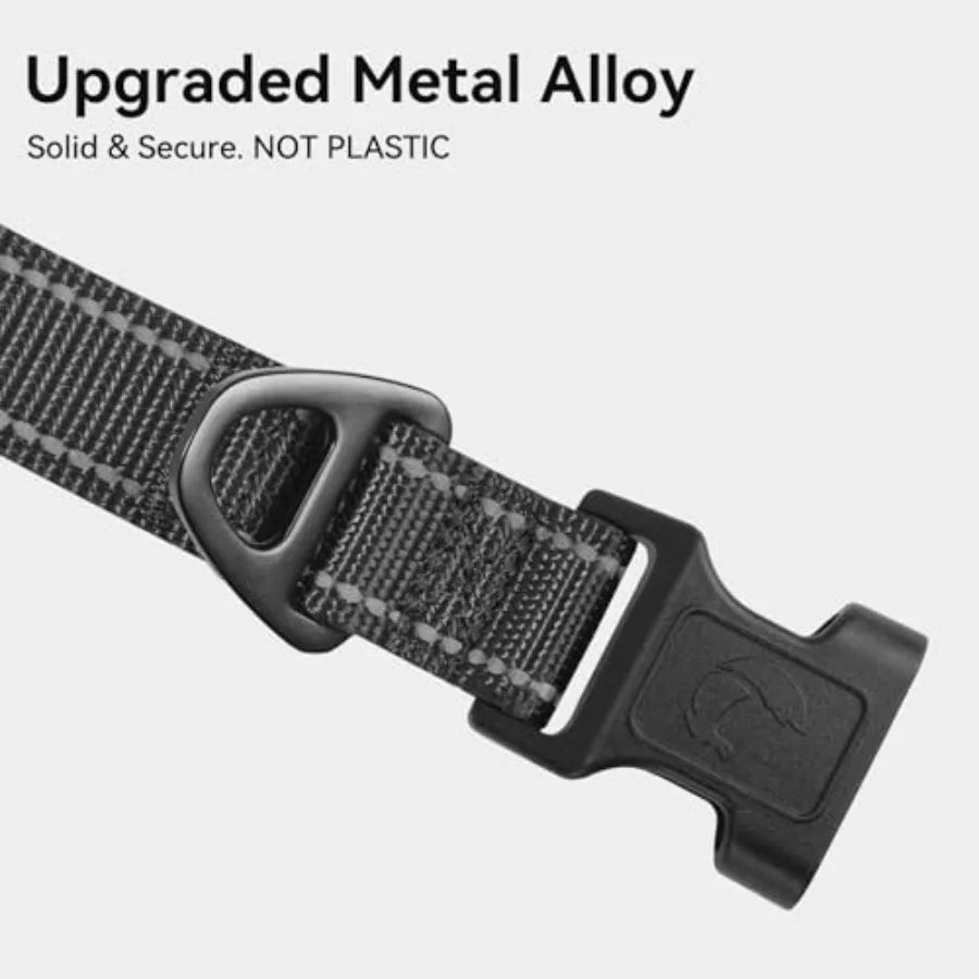 Reflective Dog Collar, Soft Neoprene Padded