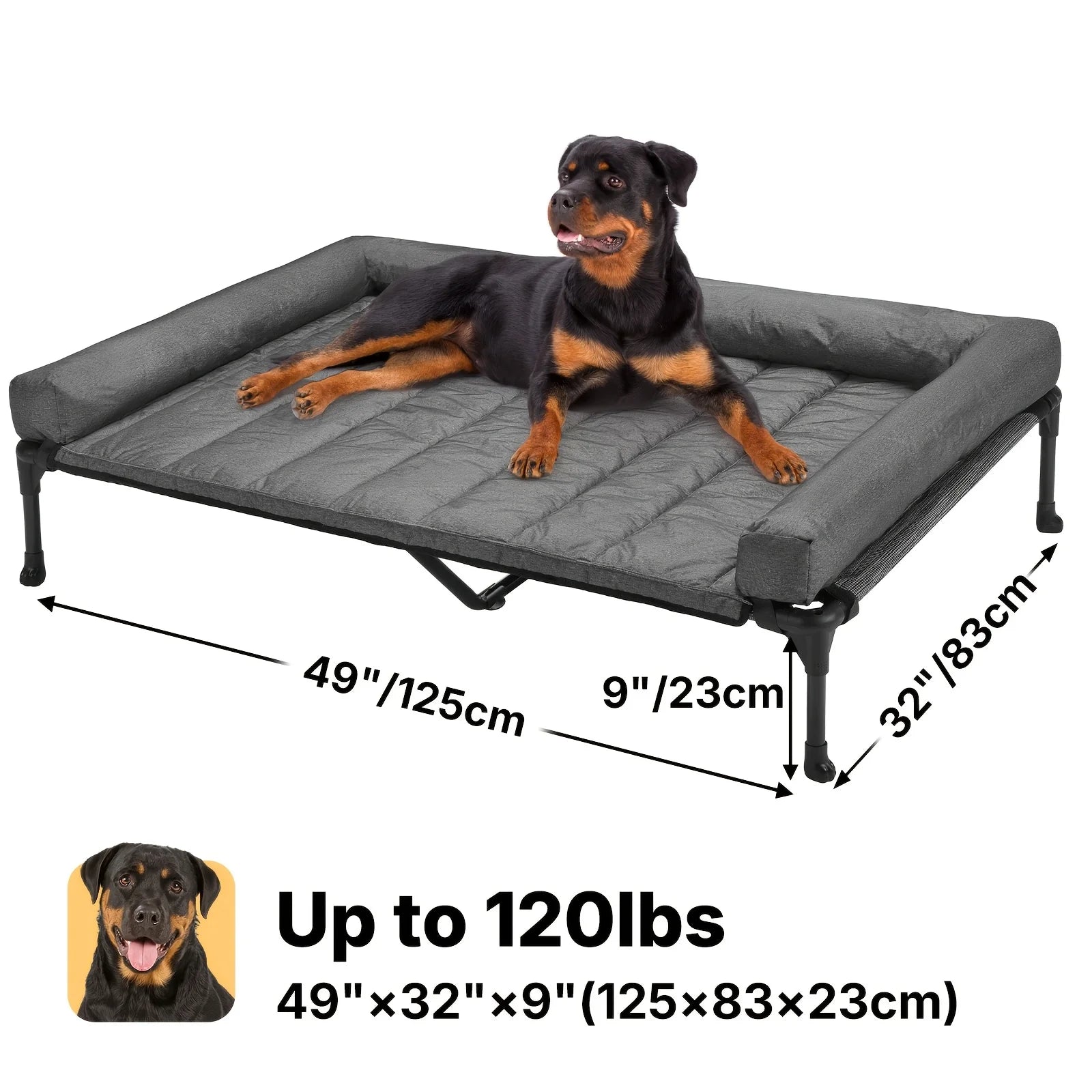 Cooling Elevated Dog Bed + Removable Pillow-Top Mat