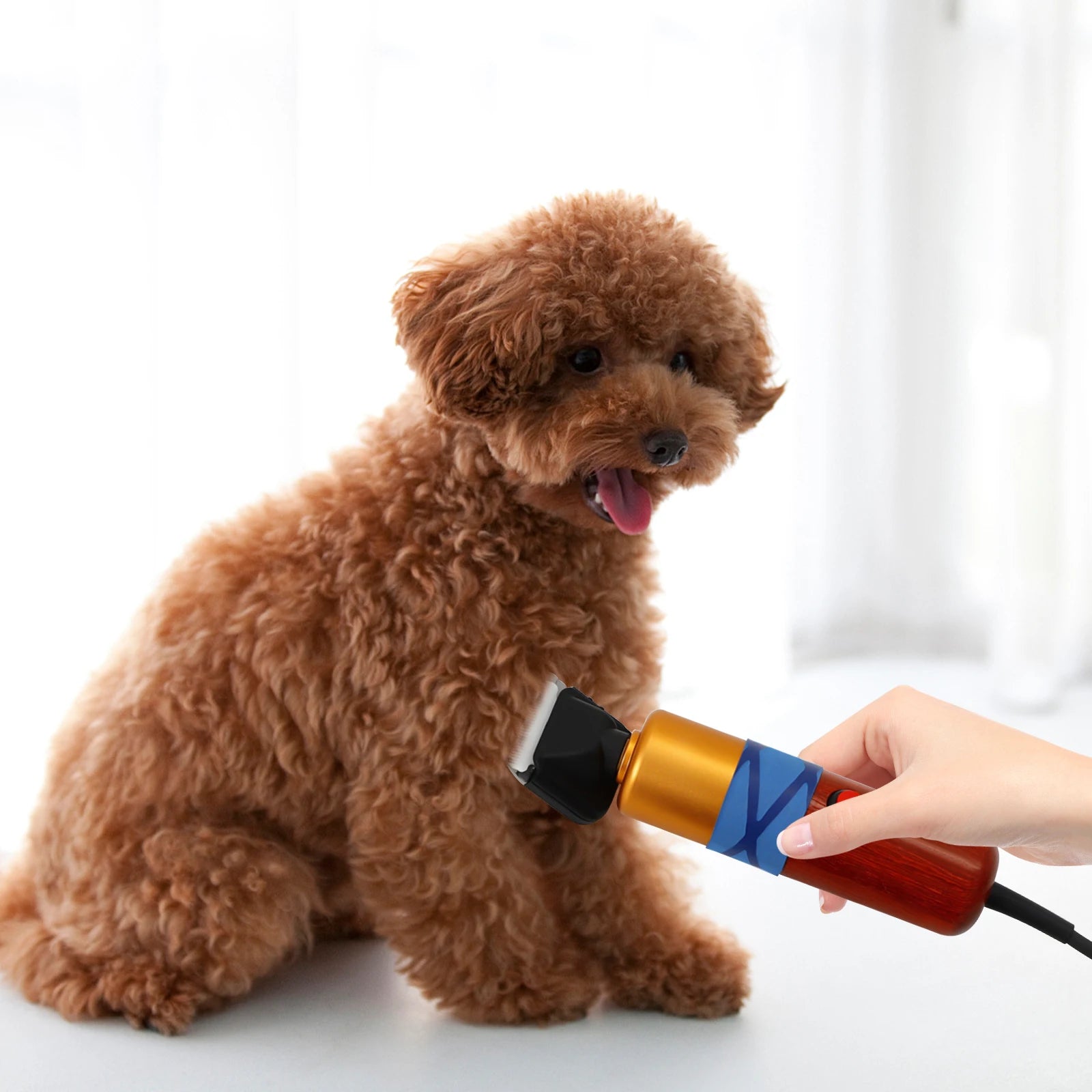 Electric Variable Speed Hair Shearing For Sheep Dogs Cats Pet
