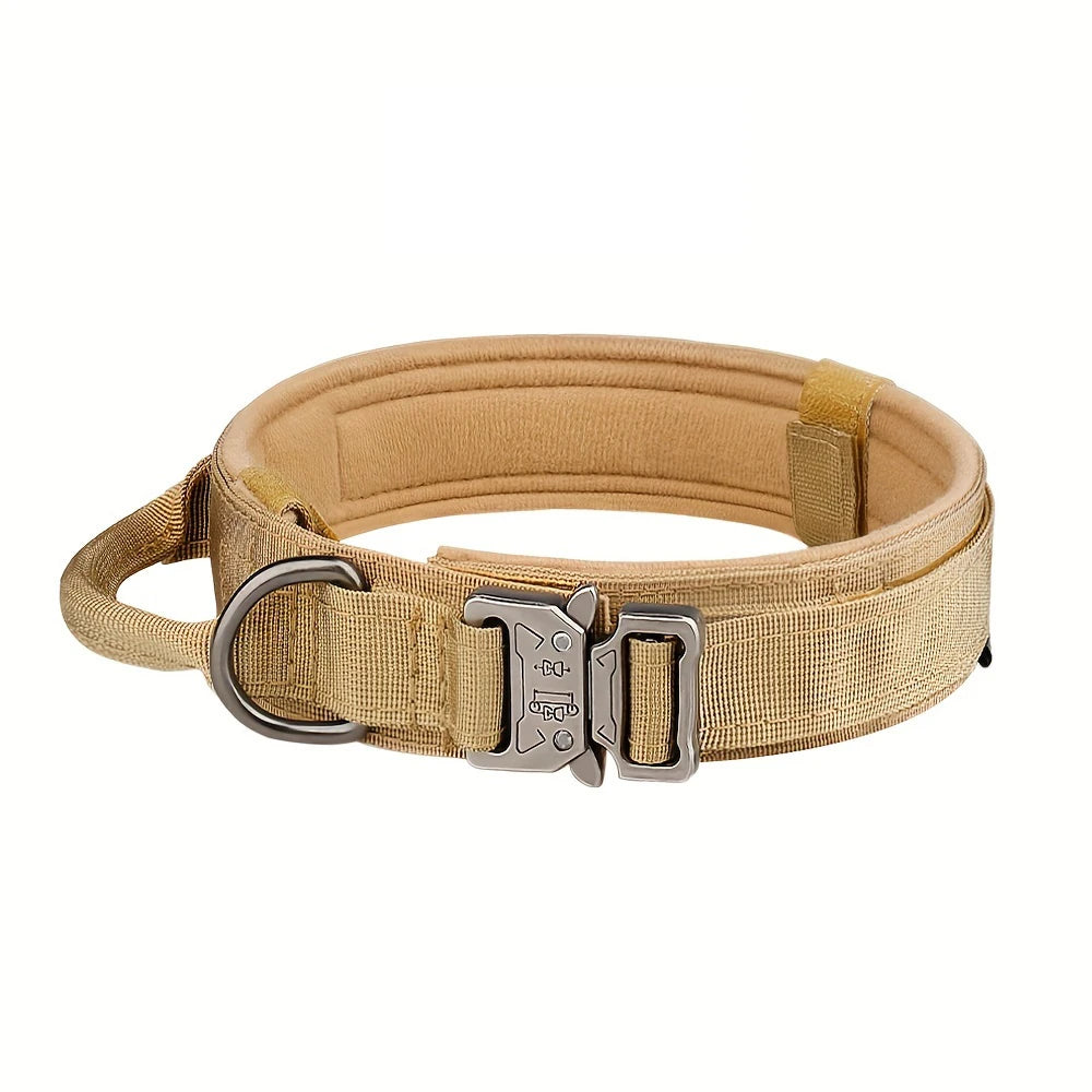Dog Training Adjustable Dog Collar