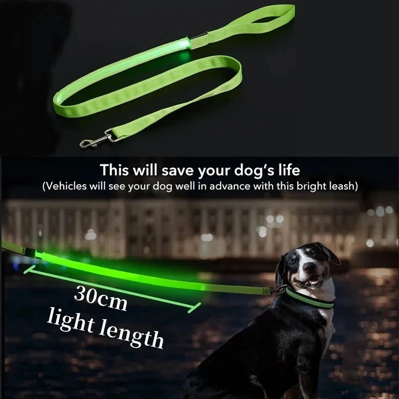 Led Pet Dog Leash Rope With Light Luminous