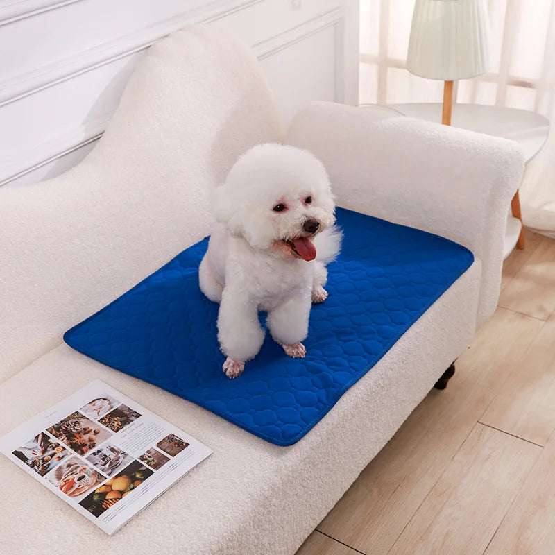 Dog Pee Pad Washable Puppy Training Pad
