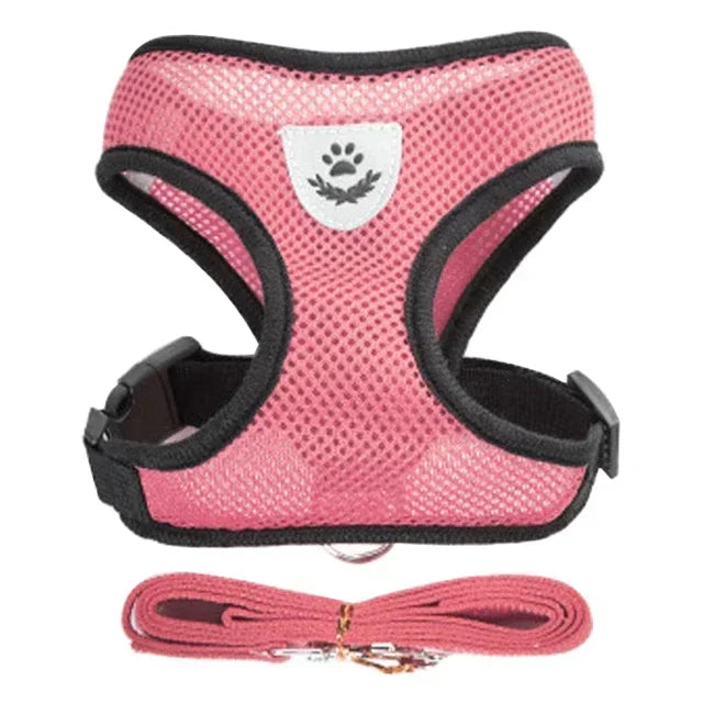 1pc-cat traction vest, walking leash, puppy dog collar
