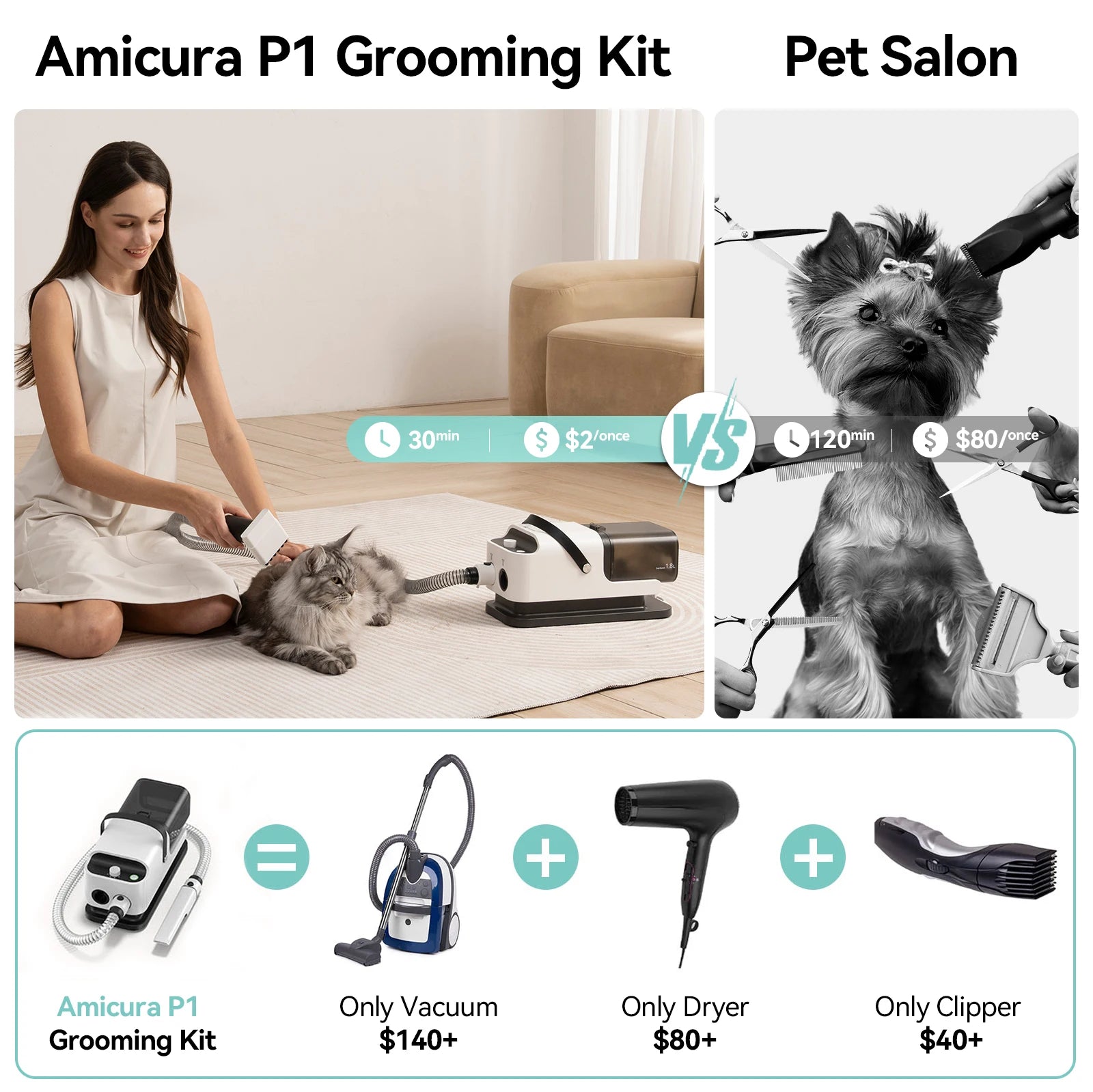 Amicura P1 Vacuum Cleaner & Hair Dryer