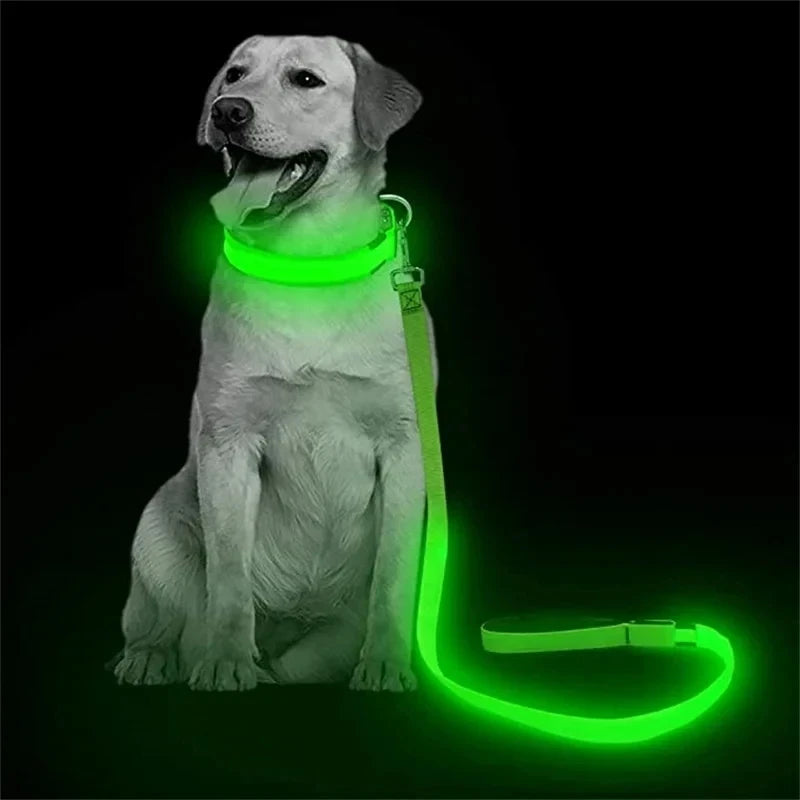 Led Pet Dog Leash Rope With Light Luminous