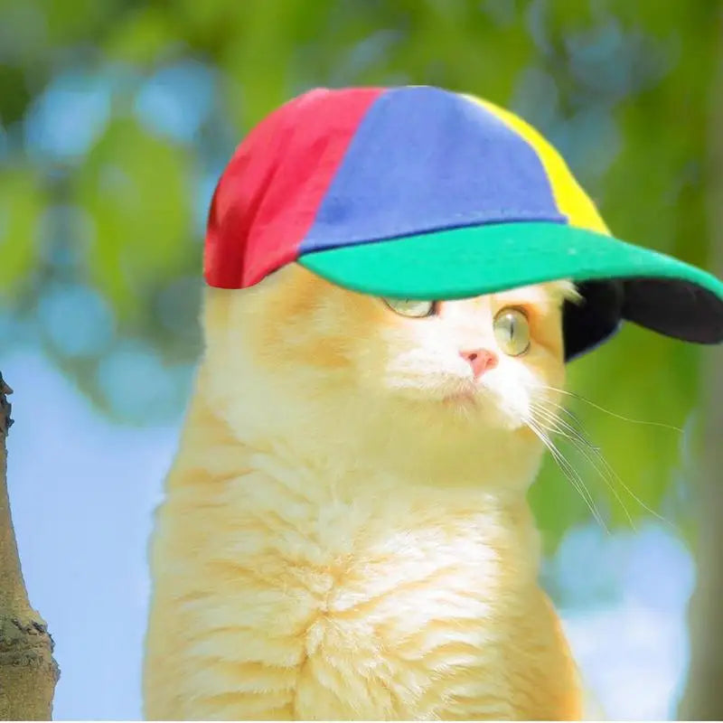 Colorful Pet Propeller Hat With Ear Holes