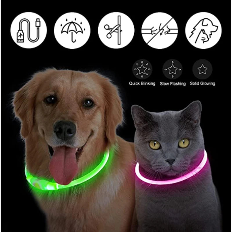 USB Rechargeable Luminous Collar for Large Small Dogs