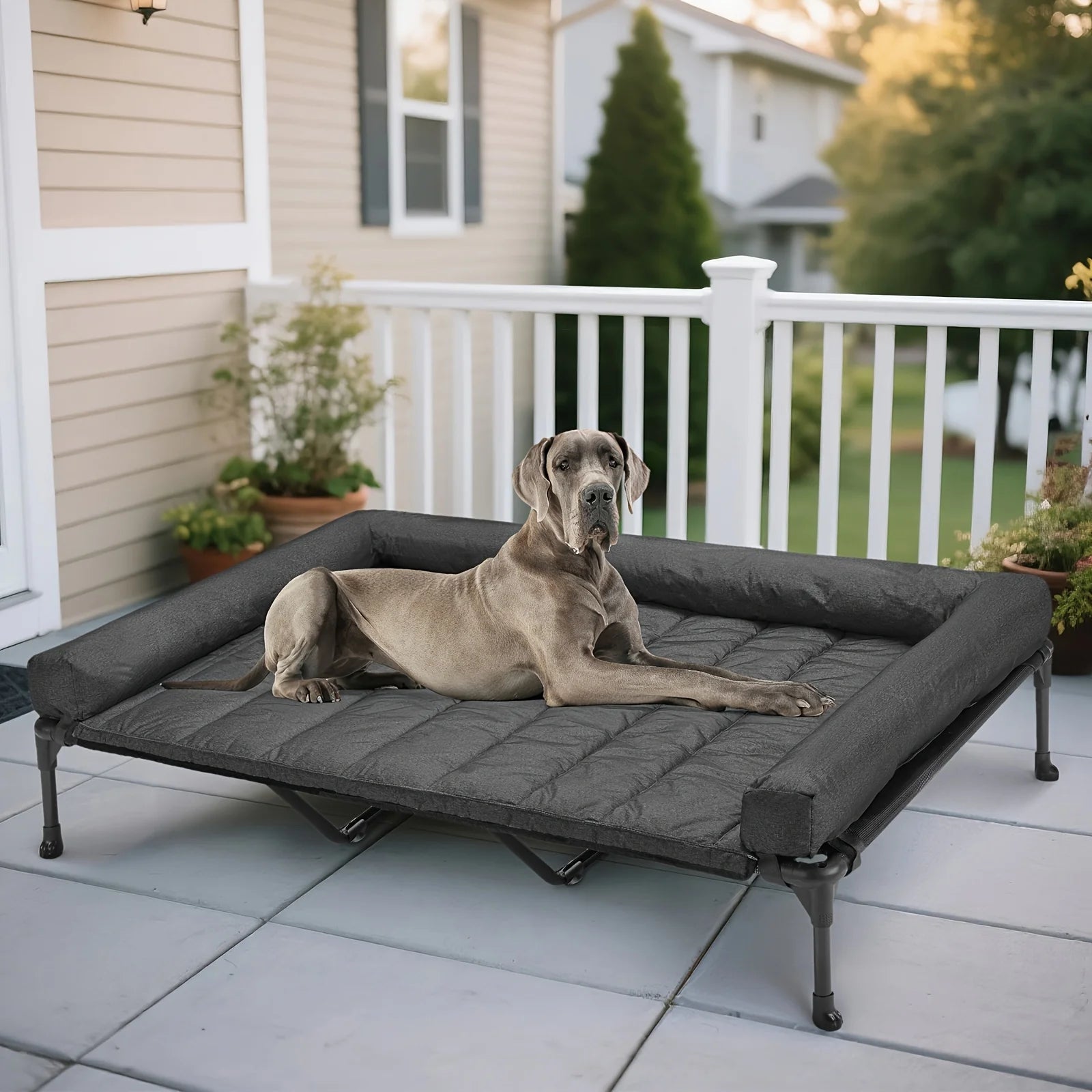 Cooling Elevated Dog Bed + Removable Pillow-Top Mat