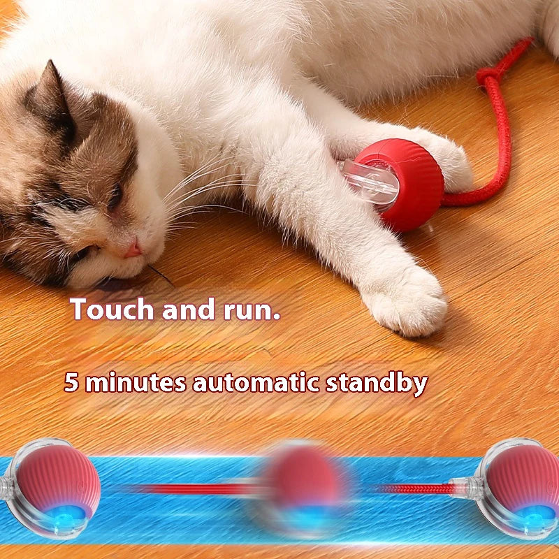 Automatic Rolling Ball For Cat