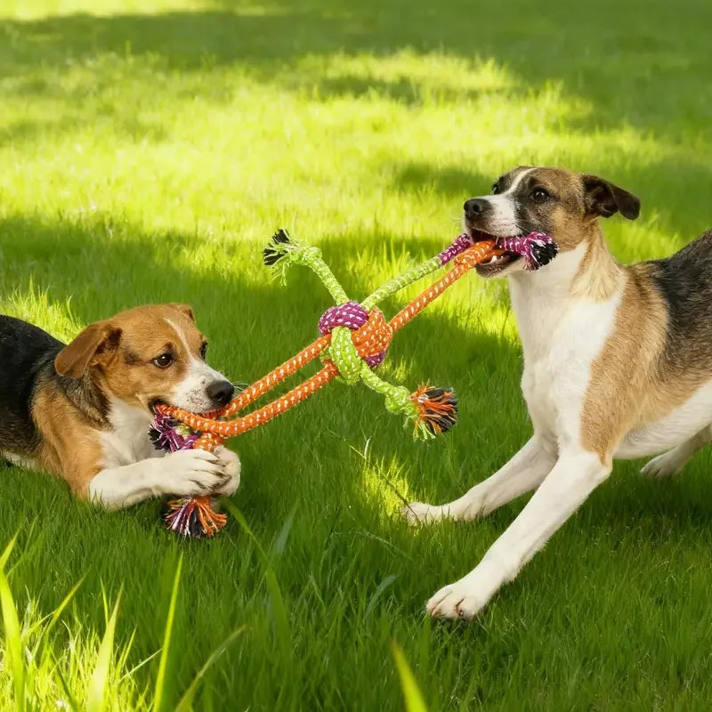 Pet Interactive Chewing Dog Toy