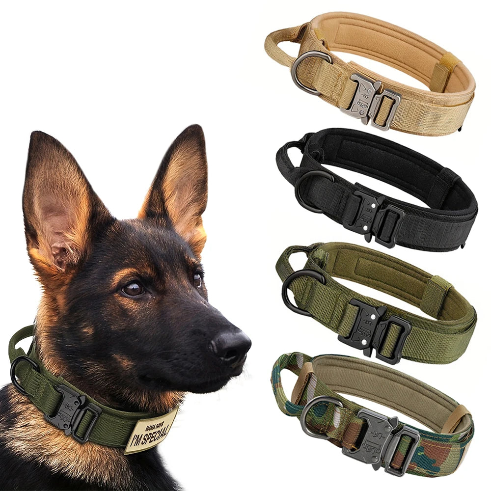 Dog Training Adjustable Dog Collar